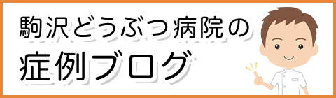 駒沢どうぶつ病院の症例ブログ