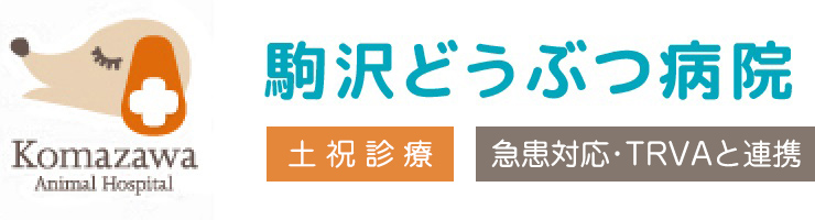 駒沢どうぶつ病院