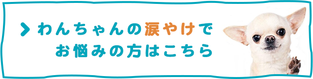  ＞わんちゃんの涙やけでお悩みの方はこちら