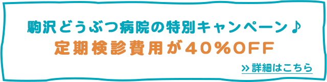 駒沢どうぶつ病院の特別キャンペーン♪定期検診費用が50％OFF＞詳細はこちら